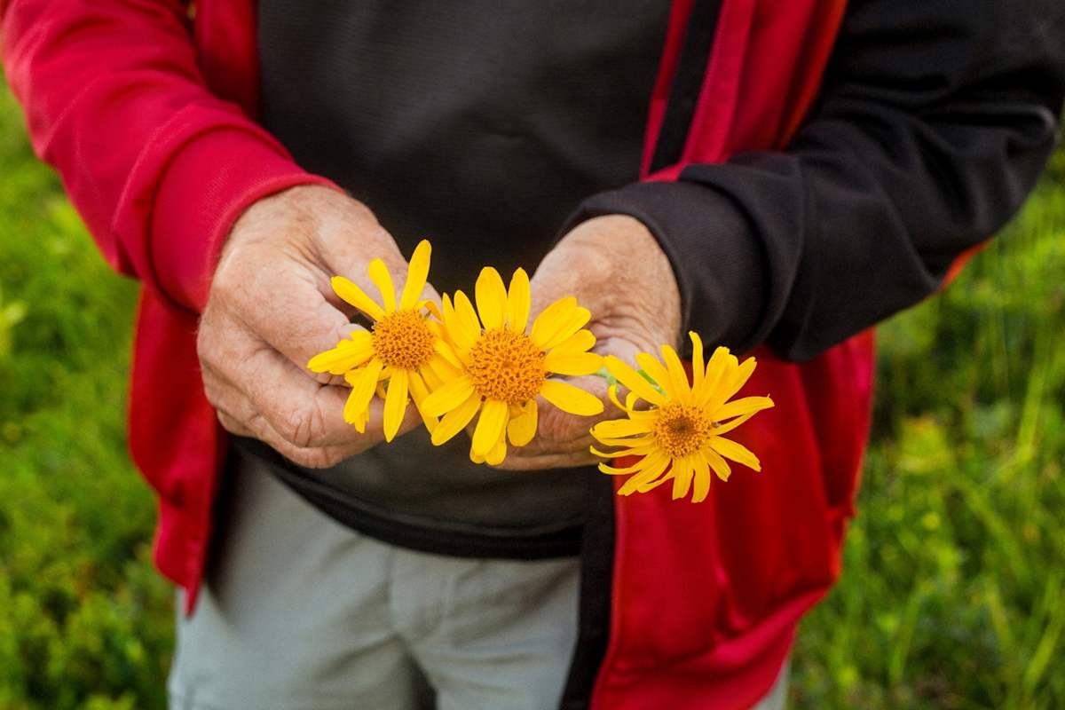 Wiesenblumen in der Hand.