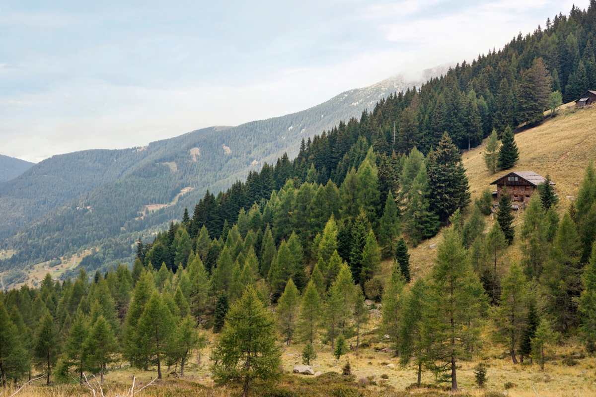 Fernblick in die Wälder