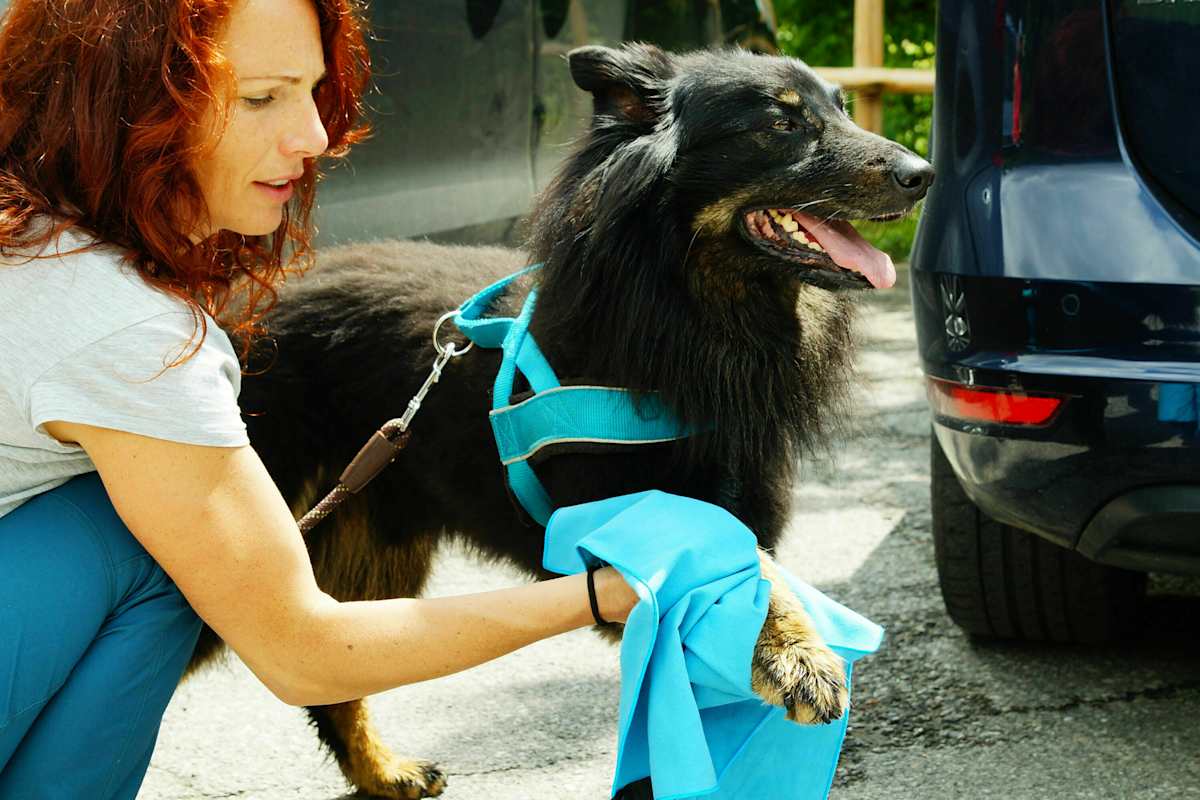 Wandern mit Hund: Microfasertuch