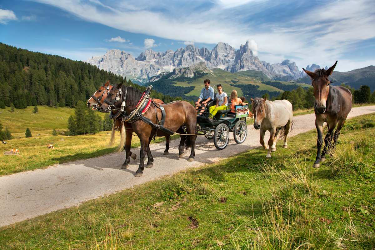 Eine Pferdekutsche mit zwei erwachsenen und zwei Kindern fährt auf einem Schotterweg. Zwei freilaufende Pferde gehen nebenher. Im Hintergrund die Pale di San Martino.