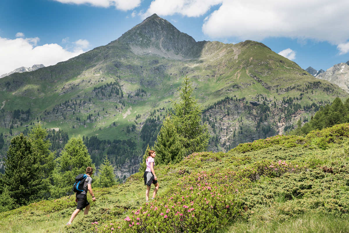 Wandern in Osttirol - Defereggental