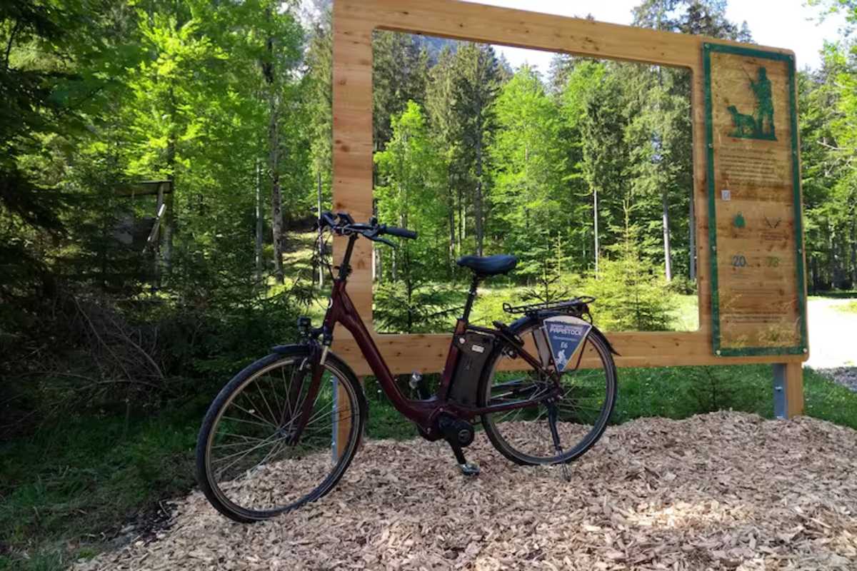 Am Waldblickweg im Naturpark Ammergauer Alpen