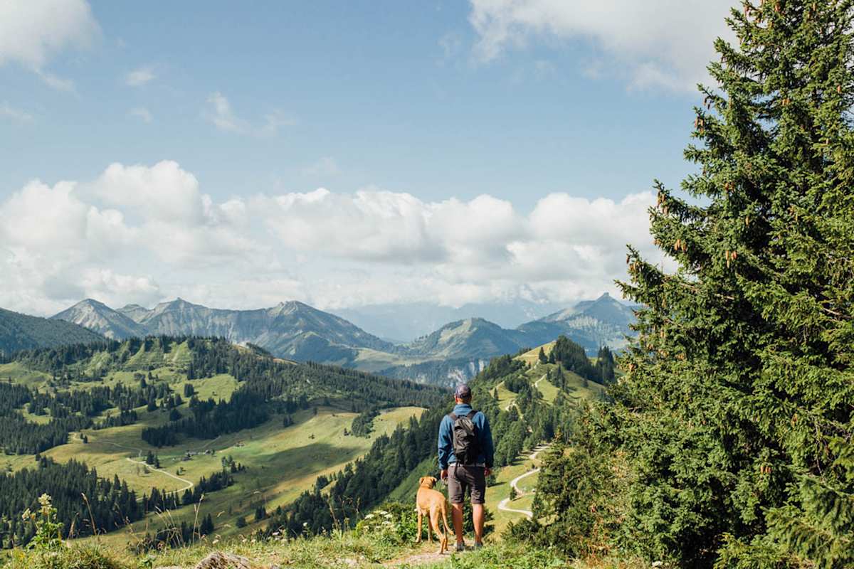 Sonnige Ausblicke am Kleinen Watzmann.