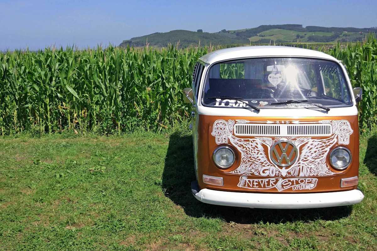 VW Bus Camping