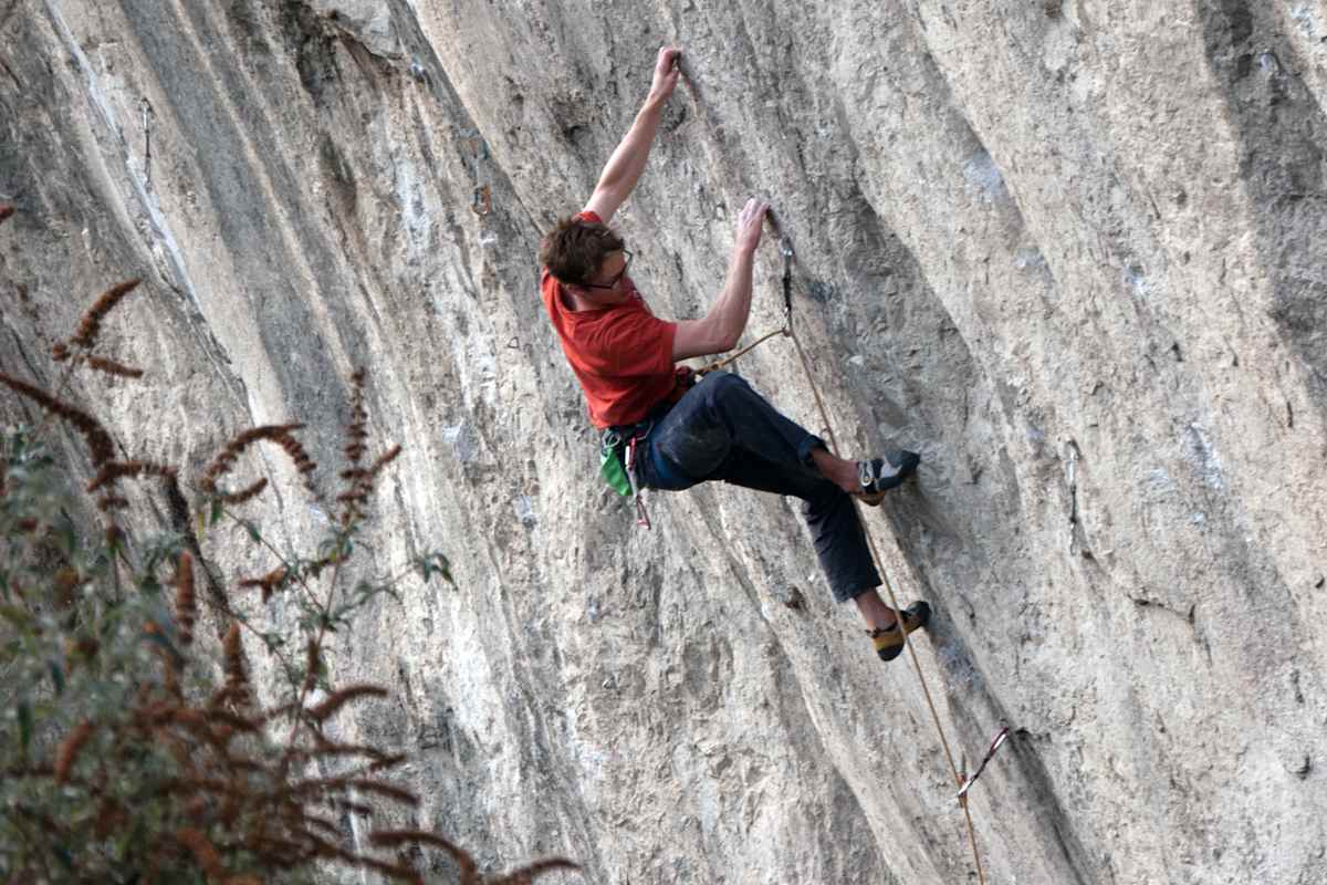 Dschungelbuch, Tirol