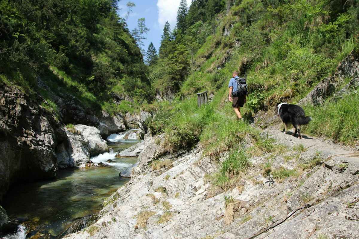 Wandern mit Hund: Weißbachschlucht