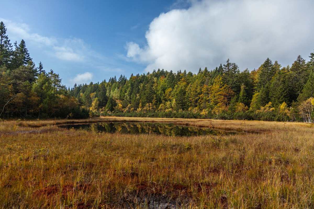 Ein Moorsee vor einer bunten Herbstlandschaft.