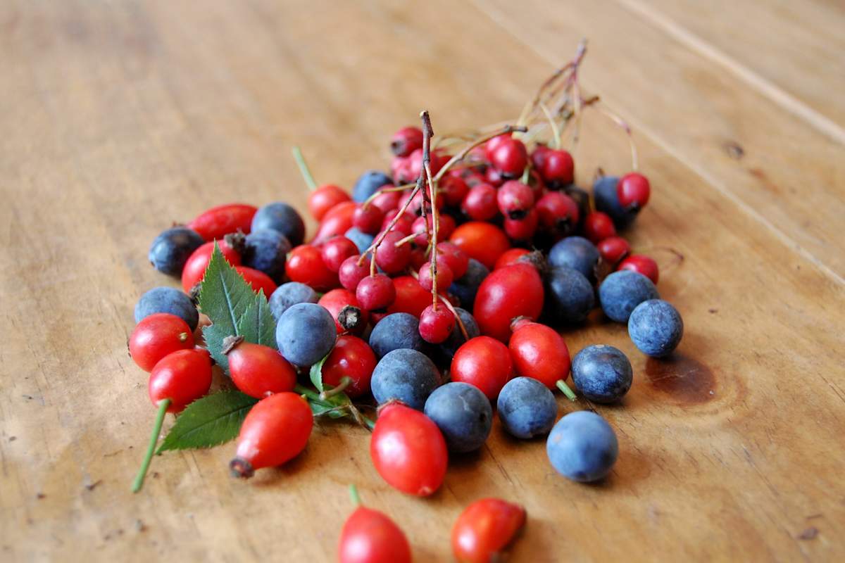 Wildobst aus dem Wald