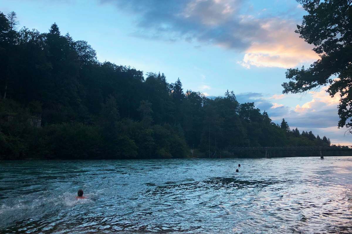 Die Aare ist eine der wenigen Flüssen mit sehr warmen Wassertemperaturen und eignet sich daher perfekt zum Flussschwimmen