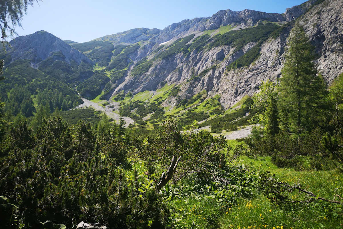 Blick auf das Steinalpl
