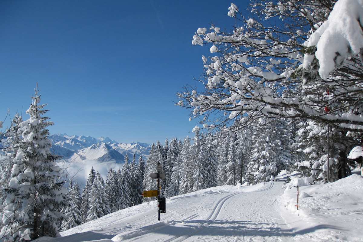 Panoramaweg in der Zentralschweiz
