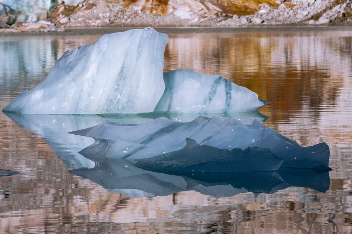 Ein Wal mit seinem Jungen im Gletschersee des Sonnblickkeeses. 
