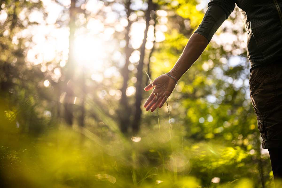Waldsonne, frau fährt mit hand durchs hohe gras