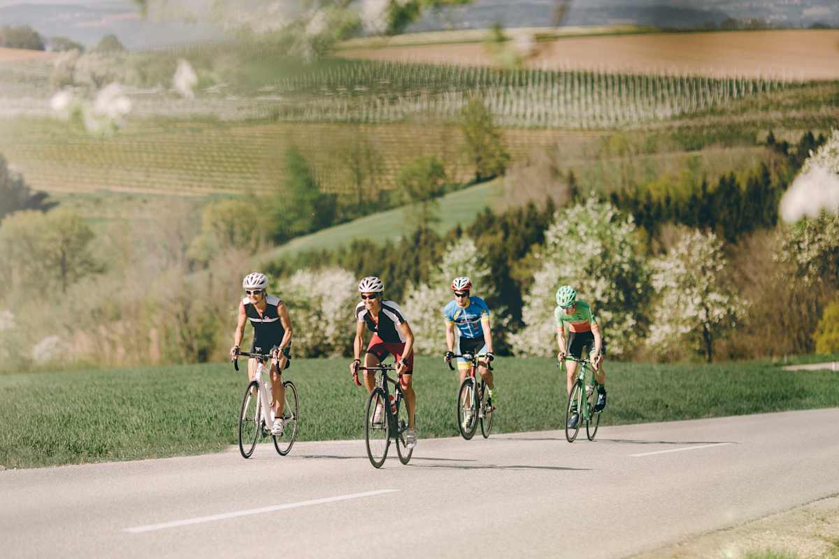 Vier Rennradfahrer fahren auf einer Straße im Wiegetritt, im Hintergrund sind Felder.