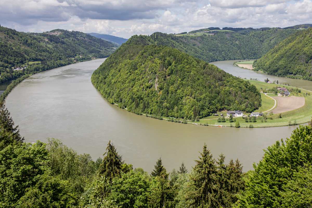Die Donauschleife bei Schlögen
