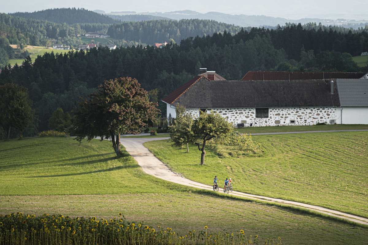 Drei Radfahrer treten auf einer asphaltierten Straße den Berg hinauf. Drumherum Weite und eine grüne Wiese. Im Hintergrund ein weißes Haus.