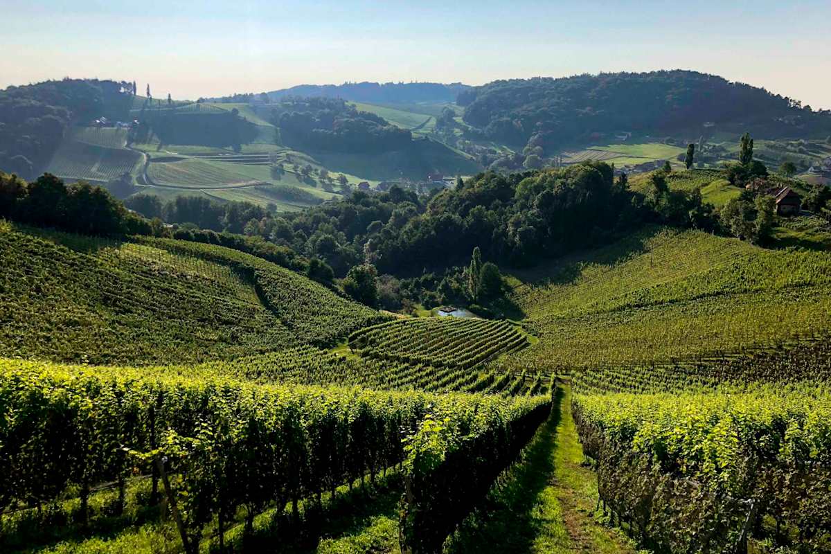 Immer wieder ergeben sich schöne Ausblicke über das Weinland