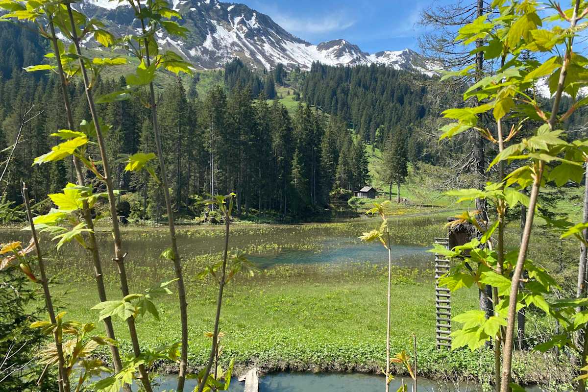 Die Melköde im Schwarzwassertal
