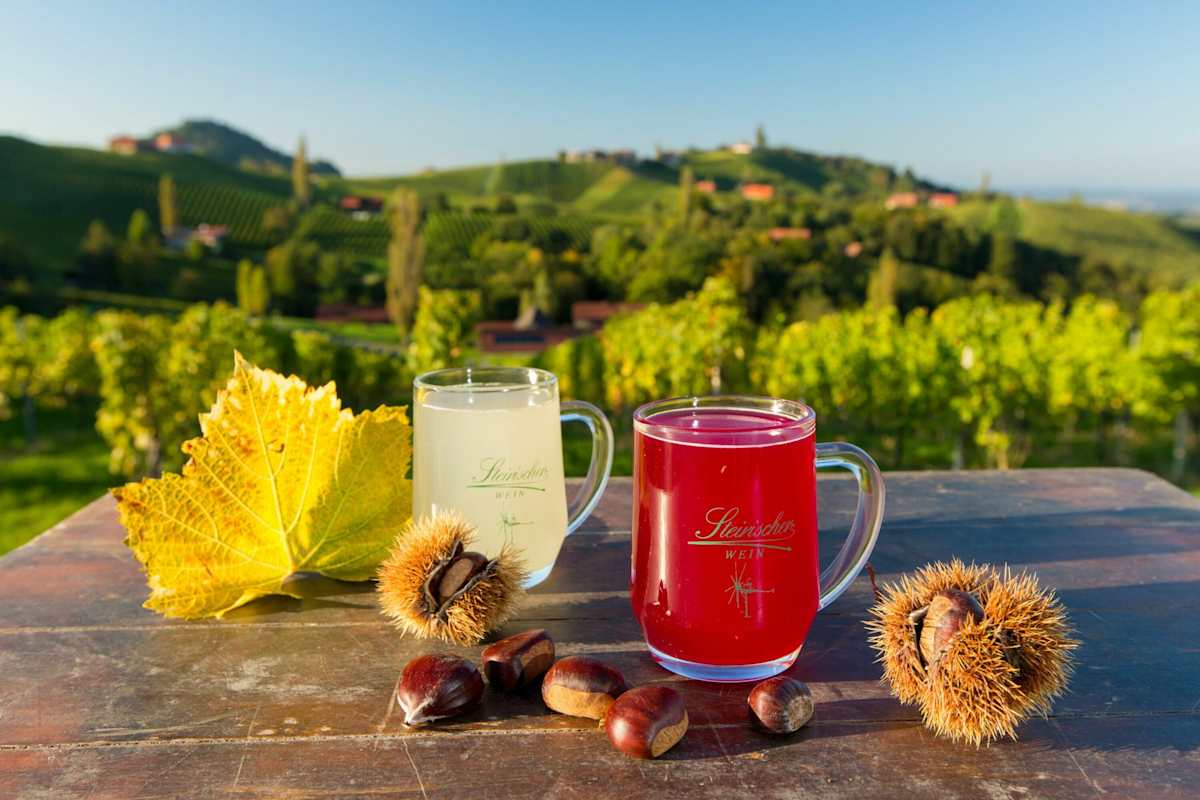 Auch die Kulinark kommt beim WEINwandern an der Südsteirischen Weinstraße nicht zu kurz