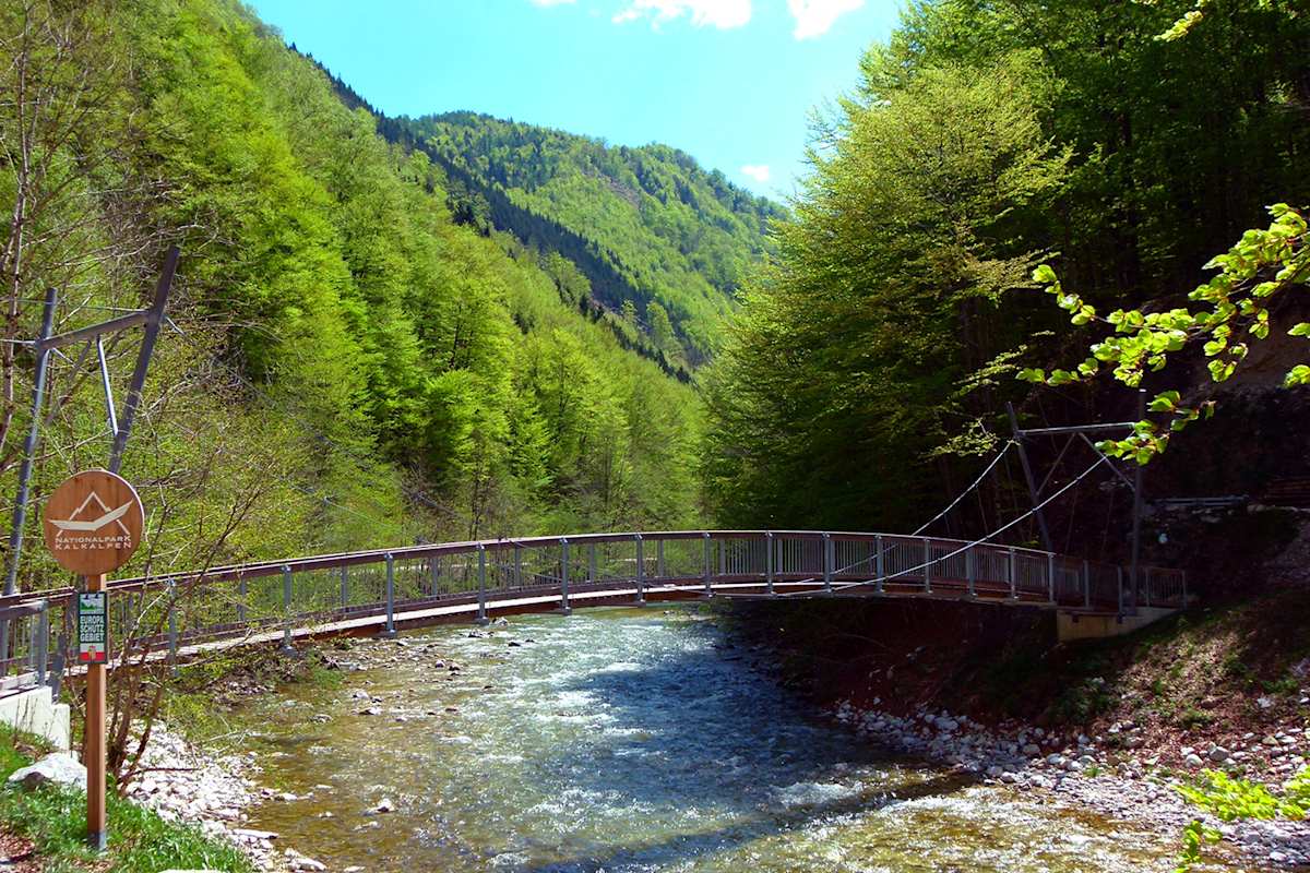 Hängebrücke Großer Bach