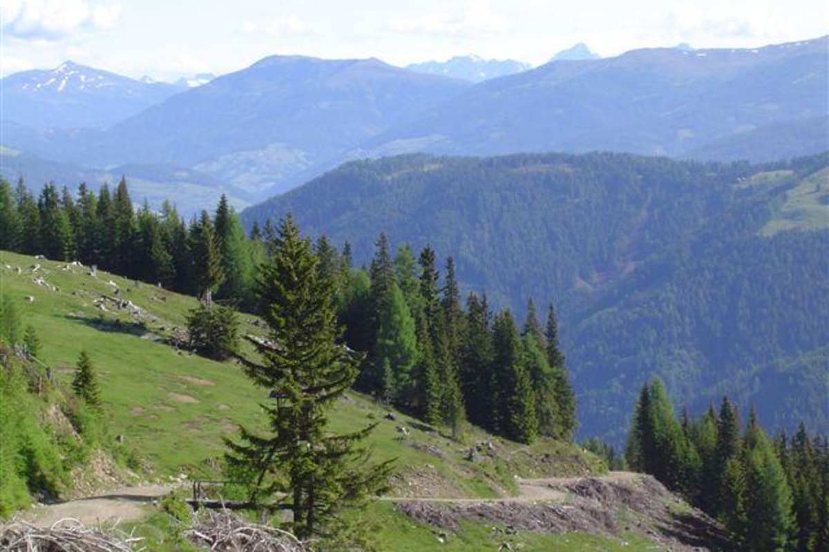 Weitblick in Richtung Gmünd 