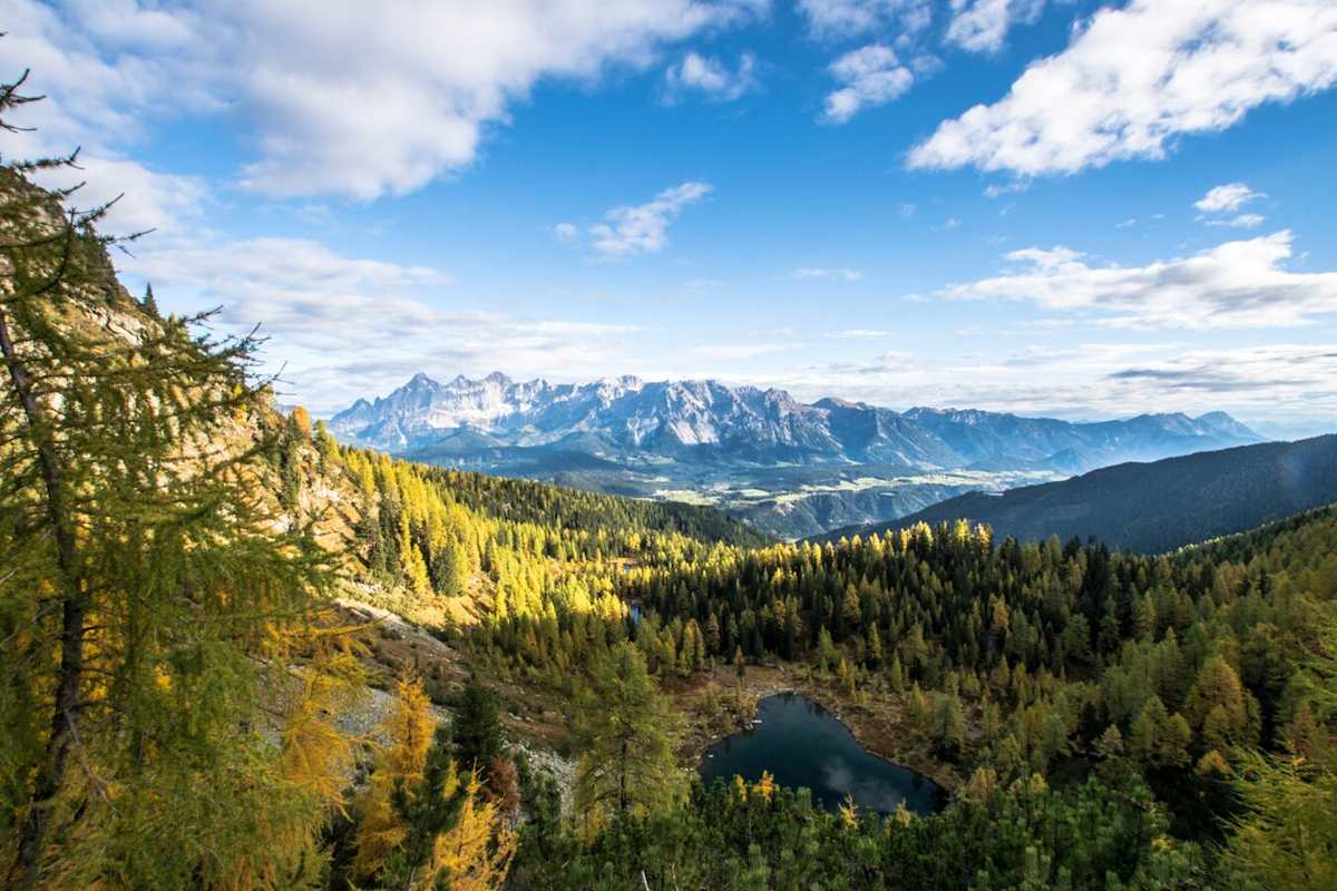 Blick vom Weg Nr. 66 auf den Untersee