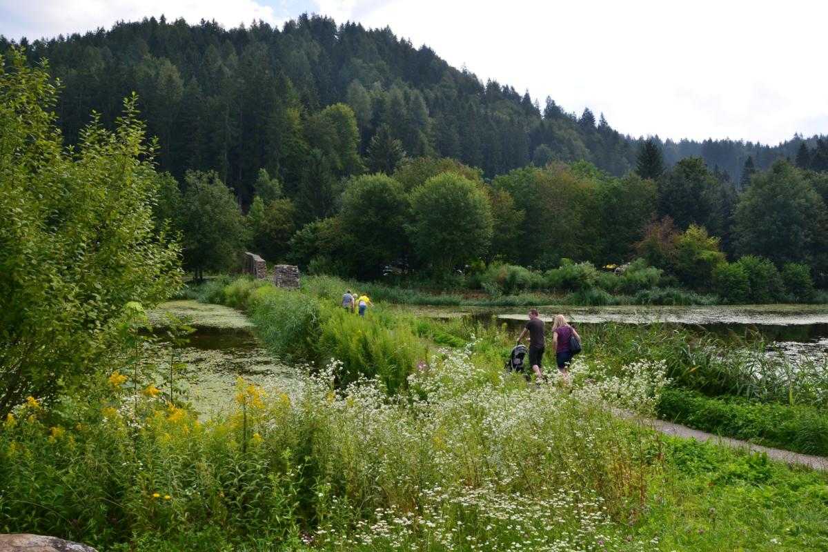 Burgherrenrunde Burg Landskron