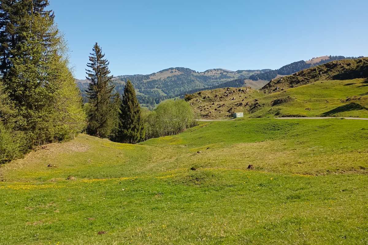 Raus aus der Nagelfluhkette Richtung Bregenzer Wald