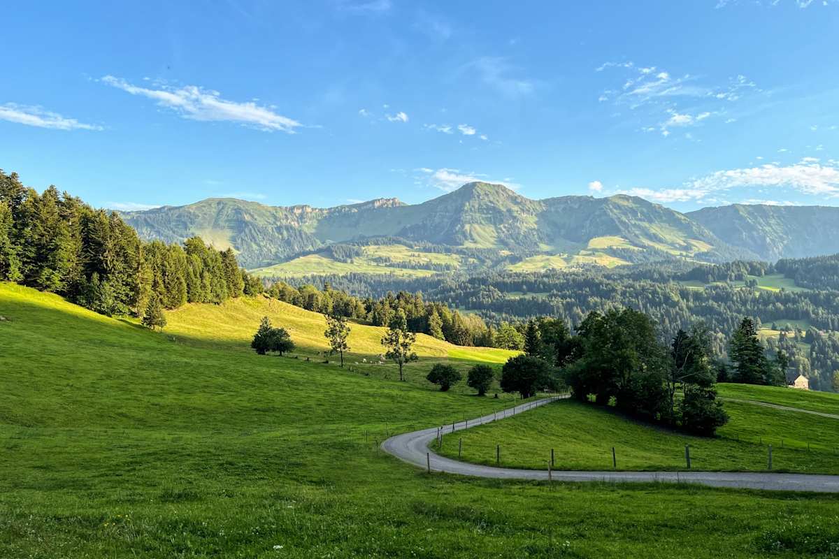 Hinterbergalpen mit Blick auf die Winterstaude