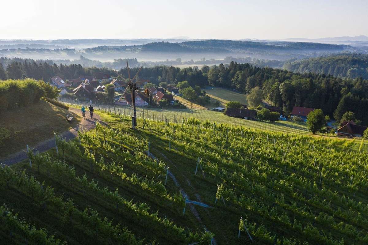 Radfahren im Schilcherland