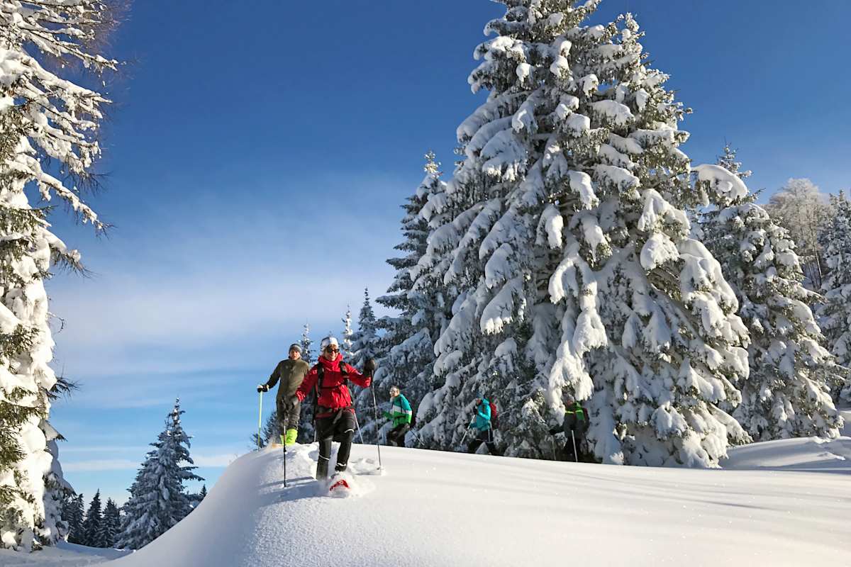Schneeschuhwandern Hengstpass