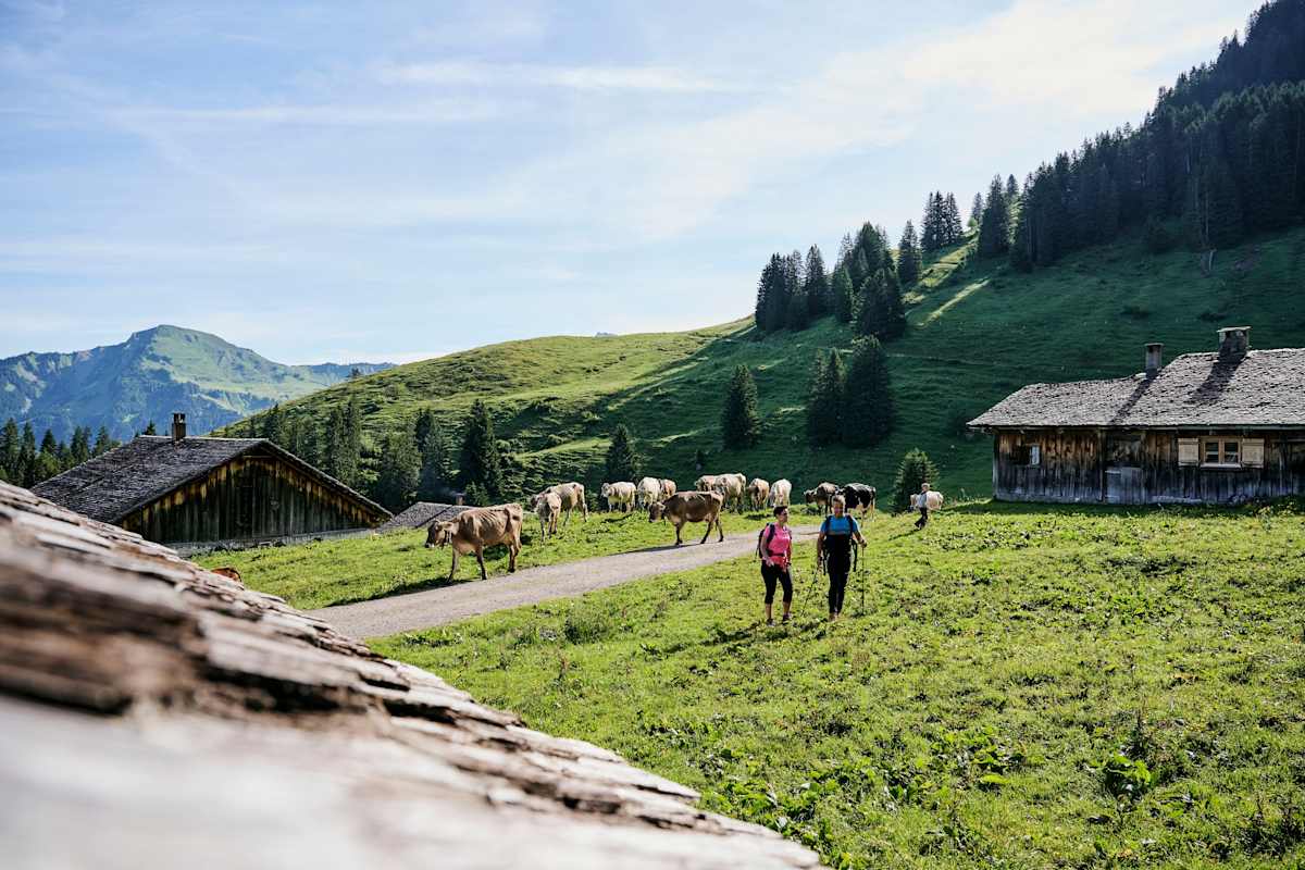 Auf dem Weg zur Alpe Steris