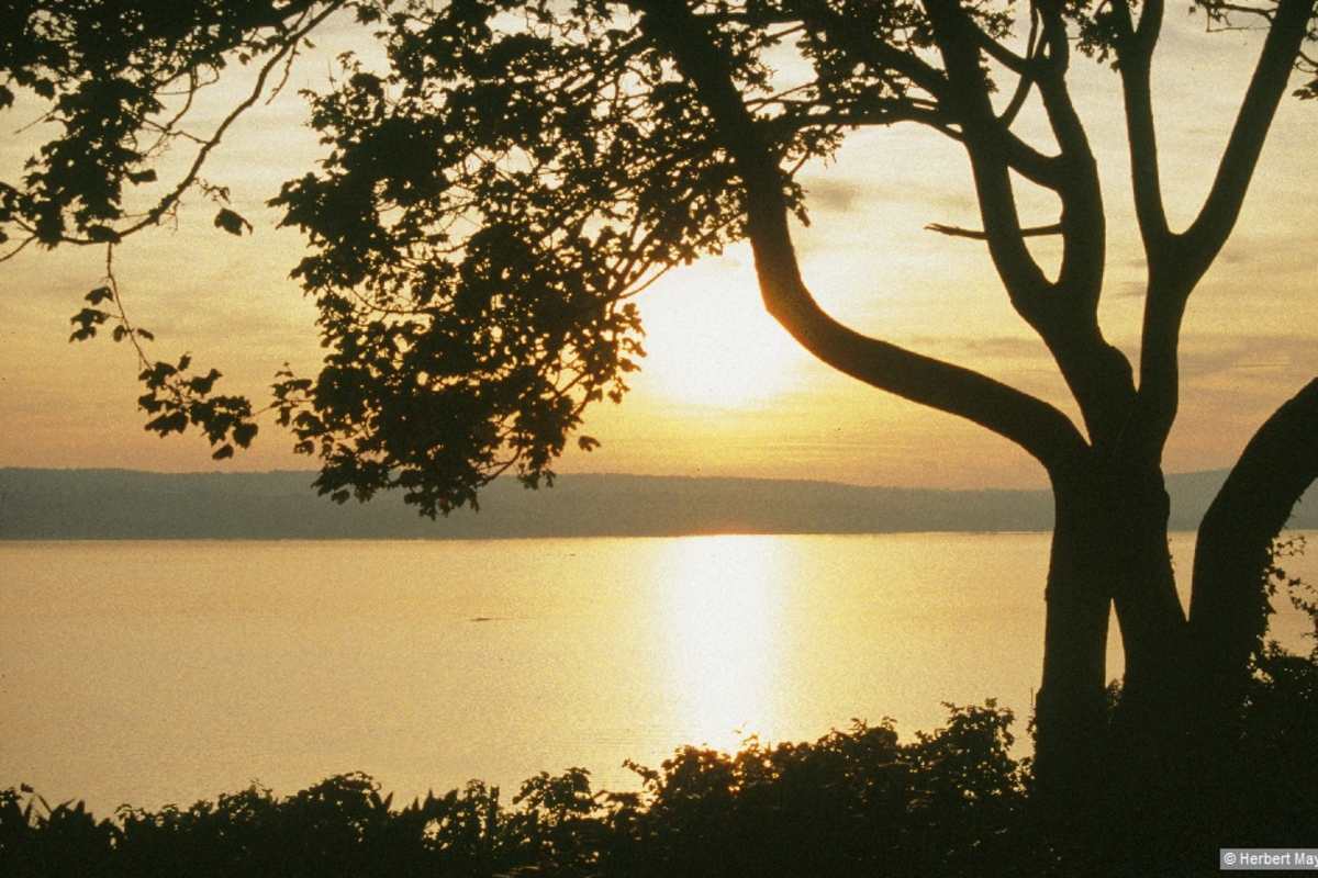 Nachdem wir auf dem geräumigen Vorplatz ein wenig Seestimmung getankt haben, gehen wir zurück zur Verzweigung am Waldrand.