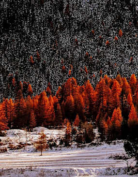 Sobretta-Gavia-Gruppe