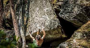 In seinem Element: Daniel „Dalton“ Horvath