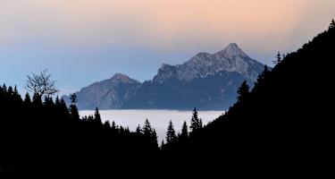 Blick in die Allgäuer Berge: Säuling