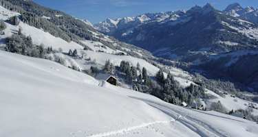 Großes Walsertal Bergsteigerdorf