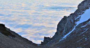 Auf dem Schneeberg: Eine Gams in der Scharte blickt auf ein gigantisches Nebelmeer