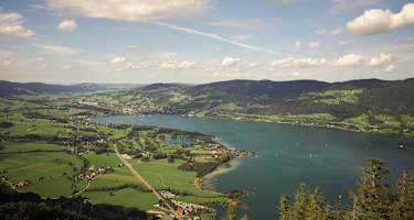 Blick auf den Mondsee