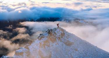 Gerlinde Kaltenbrunner am Hintergrat