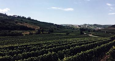 Ernst Merkinger Alpe Adria Trail