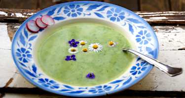 9-Kräuter-Suppe