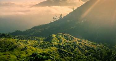 Jamaika Blue Mountains Wandern