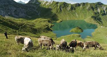 Der Schrecksee mit Alpwirtschaft