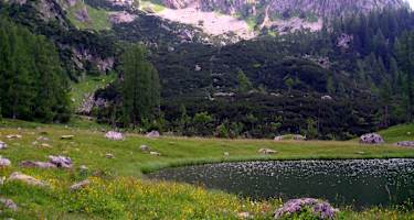 Brunnsteinersee auf der Wurzeralm