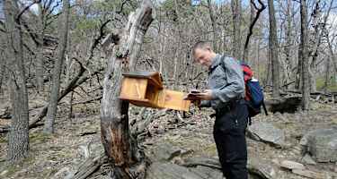 Wandern bei Wien: Martin Weber wandert auf den Anninger