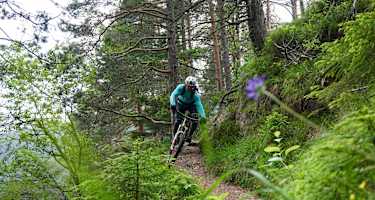 Mit dem Mountainbike in Innsbruck 