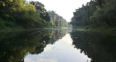 Nationalpark Donau-Auen östlich von Wien