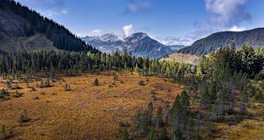 Wilde Moorlandschaft mit Aussicht auf die Entlebucher Bergwelt