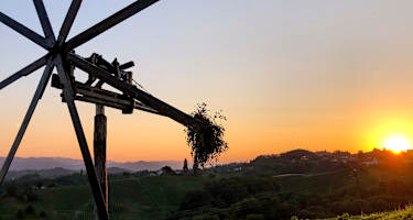 Der Klapotez, Symbol für das südsteirische Weinland